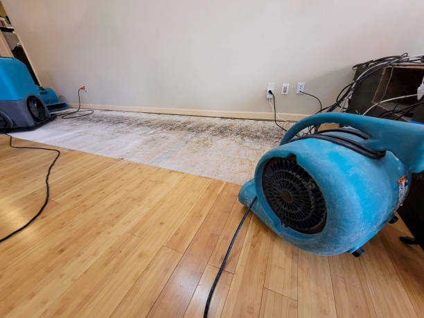 Professional Water Damage Repair technician working in Williston Park, NY